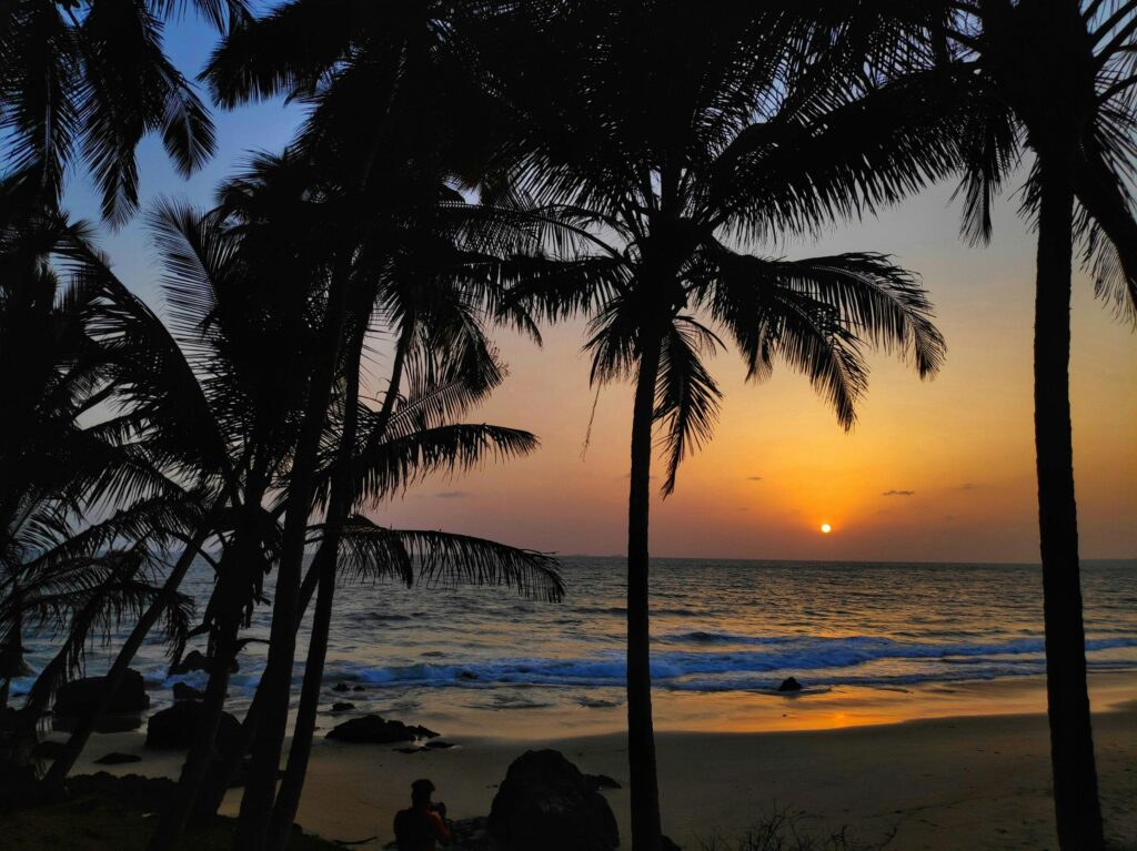 Breathtaking sunset view over a tropical beach with silhouetted palm trees in India.